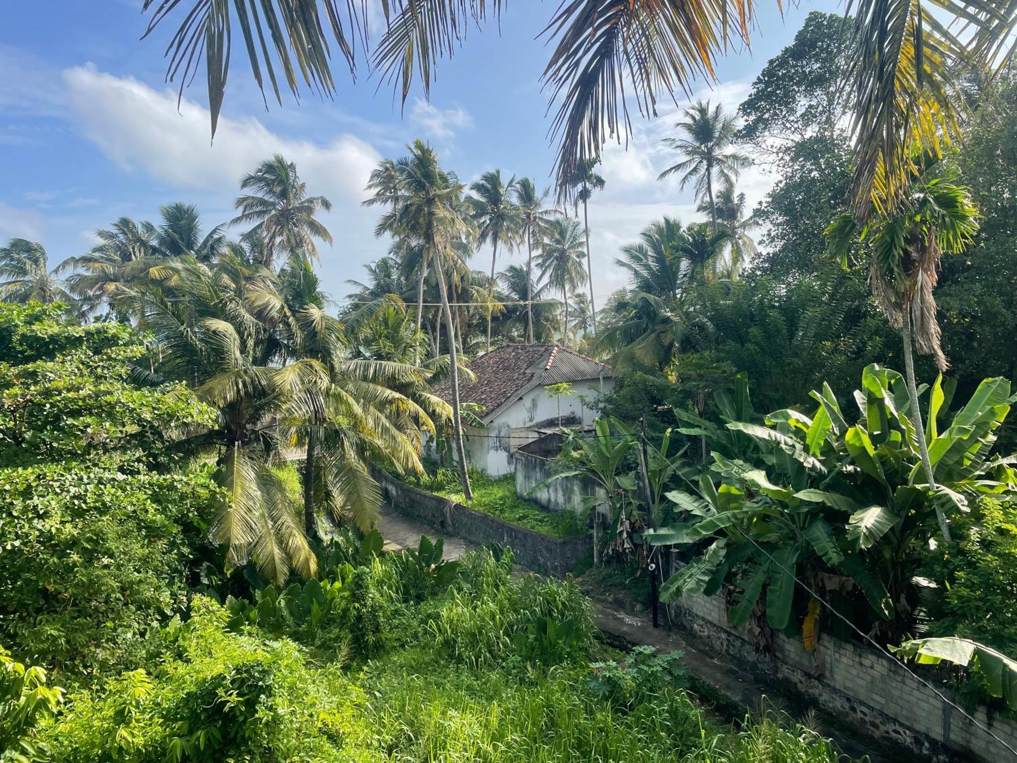 Serendipity Beach Unawatuna Luaran gambar